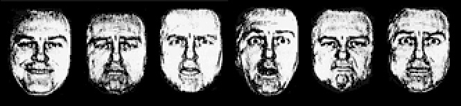 JJ (Empathic Network Visualization)